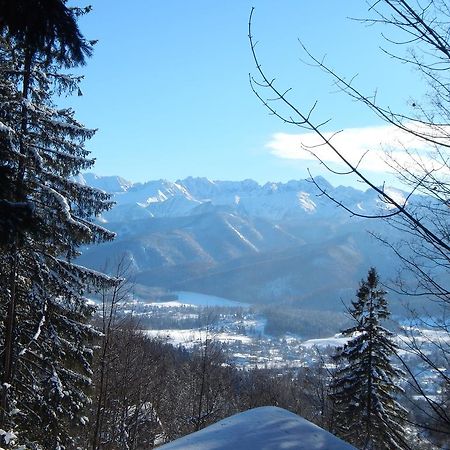 Chata Stacha Villa Zakopane Eksteriør bilde