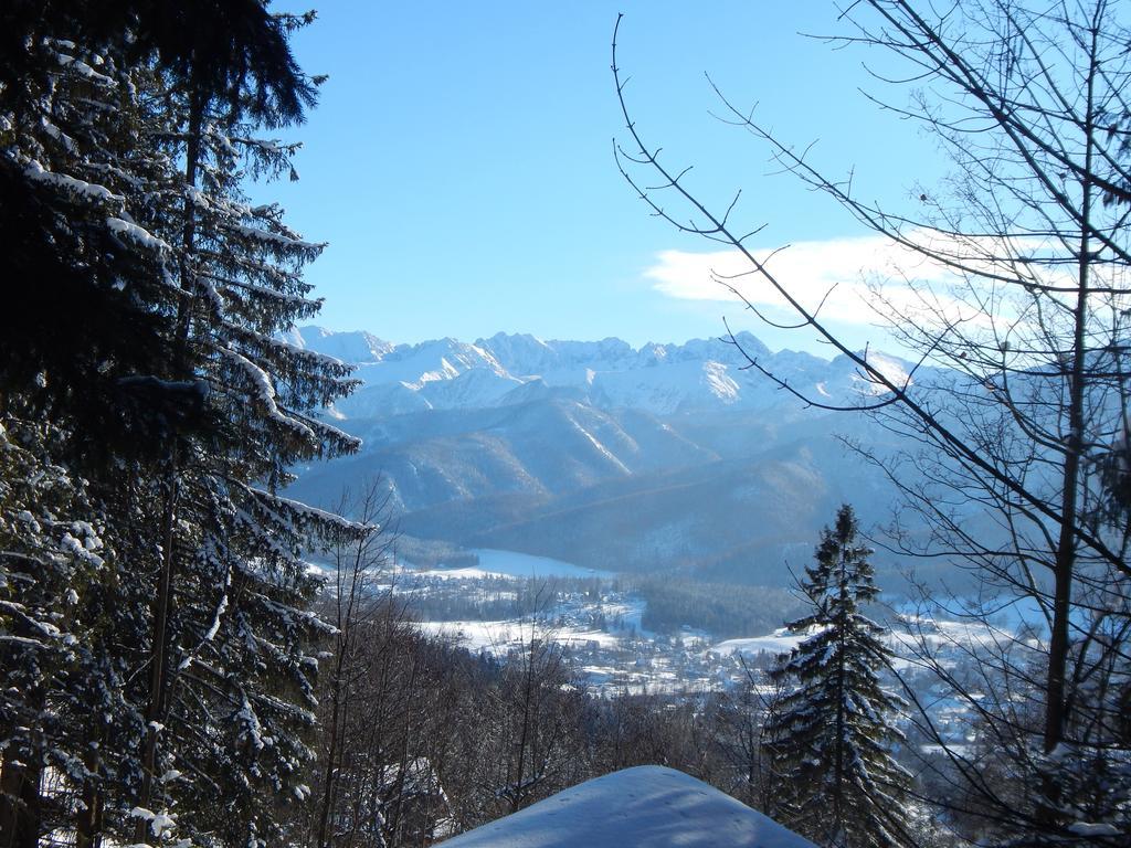 Chata Stacha Villa Zakopane Eksteriør bilde
