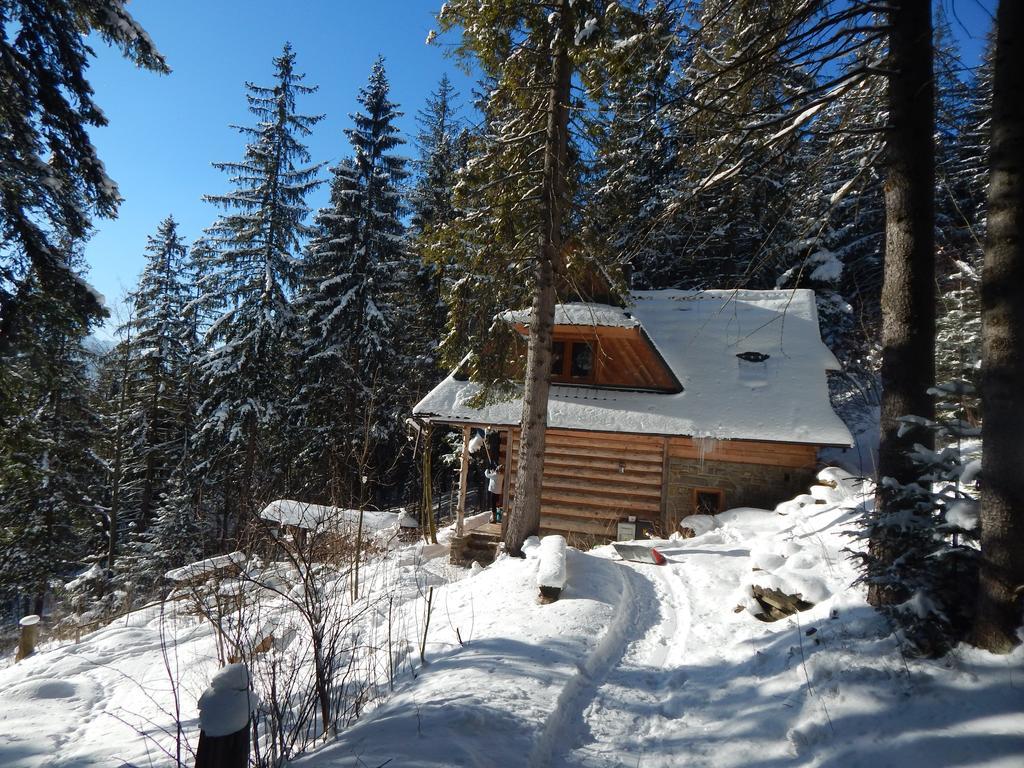Chata Stacha Villa Zakopane Eksteriør bilde